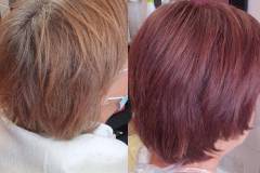 FB_IMG_1765830601421